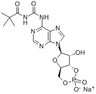 6-MBC-CAMP SODIUM SALT Struktur