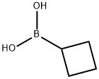 CYCLOBUTYLBORONIC ACID Struktur