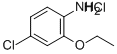 4-CHLORO-2-ETHOXYANILINE, HCL Struktur