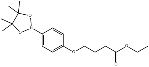 4-[4-(4,4,5,5-TETRAMETHYL-[1,3,2]DIOXABOROLAN-2-YL)-PHENOXY]-BUTYRIC ACID ETHYL ESTER Struktur