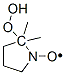 5,5-dimethyl-5-hydroperoxy-1-pyrrolidinyloxy Struktur