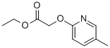 (5-METHYL-PYRIDIN-2-YLOXY)-ACETIC ACID ETHYL ESTER Struktur