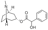 HOMATROPINE