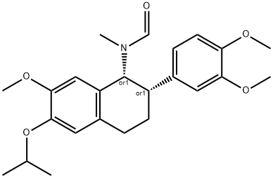 CIS 19 Struktur