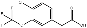 4-CHLORO-3-(TRIFLUOROMETHOXY)PHENYLACETIC ACID Struktur