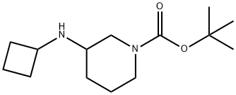 1-BOC-3-CYCLOBUTYLAMINO-PIPERIDINE Struktur