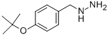 (4-TERT-BUTOXY-BENZYL)-HYDRAZINE Struktur