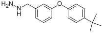 3-(4-TERT-BUTYL-PHENOXY)-BENZYL-HYDRAZINE Struktur