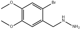 (2-BROMO-4,5-DIMETHOXYBENZYL)HYDRAZINE HYDROCHLORIDE Struktur