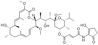 BAFILOMYCIN B2 Struktur