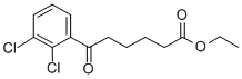 ETHYL 6-(2,3-DICHLOROPHENYL)-6-OXOHEXANOATE Struktur