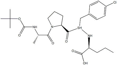 BOC-ALA-PRO-NVA-4-CHLORO-SBZL Struktur