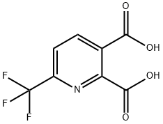 6-(trifluoroMethyl)pyridine-2,3-dicarboxylic acid Struktur