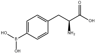 4-BORONO-DL-PHENYLALANINE B10 ENRICHED price.