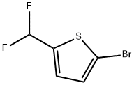 2-Bromo-5-(difluoromethyl)thiophene Struktur