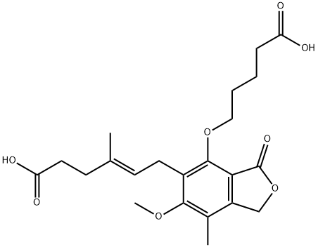 MPAC Struktur