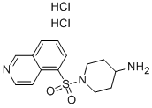 1-(Isoquinoline-5-sulfonyl)-piperidin-4-ylamine dihydrochloride Struktur