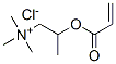 trimethyl-2-[(1-oxoallyl)oxy]propylammonium chloride Struktur