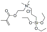 dimethyl[2-[(2-methyl-1-oxoallyl)oxy]ethyl][3-(triethoxysilyl)propyl]ammonium chloride Struktur