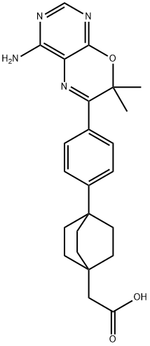 BICYCLO[2.2.2]OCTANE-1-ACETIC ACID, 4-[4-(4-AMINO-7,7-DIMETHYL-7H-PYRIMIDO[4,5-B][1,4]OXAZIN-6-YL)PHENYL]- Struktur