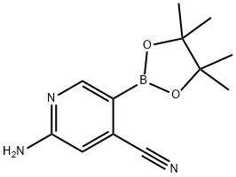 2-aMino-5-(4,4,5,5-tetraMethyl-1,3,2-dioxaborolan-2-yl)isonicotinonitrile Struktur