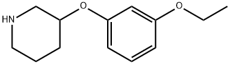 3-(3-ETHOXYPHENOXY)PIPERIDINE Struktur