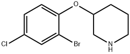 3-(2-Bromo-4-chloro-phenoxy)-piperidine Struktur