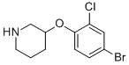 3-(4-Bromo-2-chloro-phenoxy)-piperidine Struktur