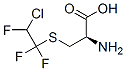 S-(2-chloro-1,1,2-trifluoroethyl)cysteine Struktur