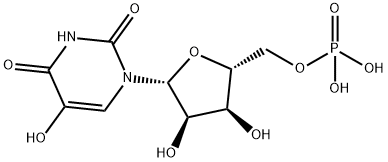 5-Hydroxyluridine-5'-Monophosphate Struktur