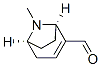 8-Azabicyclo[3.2.1]oct-2-ene-2-carboxaldehyde, 8-methyl-, (1R,5S)- (9CI) Struktur