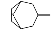 8-Methyl-3-methylene-8-aza-bicyclo[3.2.1]octane Struktur