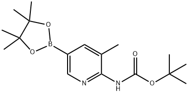 Boc-6-Amino-5-methylpyridine-3-boronic acid pinacol ester Struktur