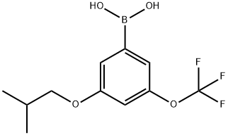 3-Isobutoxy-5-(trifluoromethoxy)phenylboronic acid Struktur