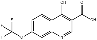 4-Hydroxy-7-trifluoromethoxyquinoline-3-carboxylic acid Struktur