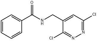 N-(3,6-Dichloro-pyridazin-4-ylmethyl)-benzamide Struktur