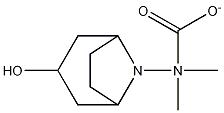 8-Azabicyclo(3.2.1)octan-3-ol, 8-methyl-methylcarbamate (ester), exo- Struktur