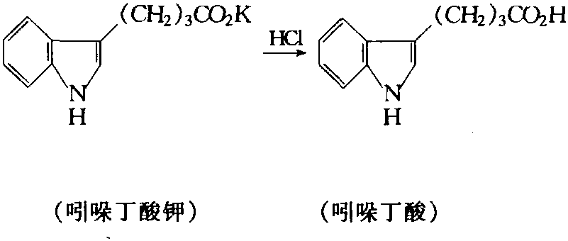 吲哚制備吲哚丁酸反應(yīng)方程式二