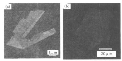 原子力和光學(xué)顯微鏡觀察石墨烯