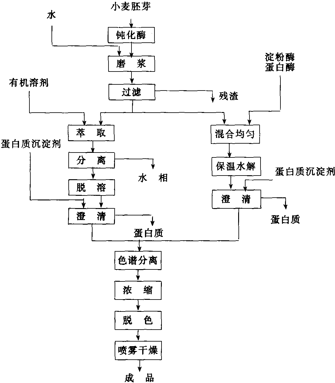 從小麥胚芽中提取谷胱甘肽的工藝流程