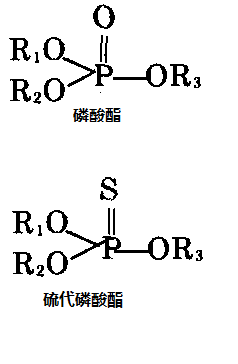 磷酸酯和硫代磷酸酯的分子結(jié)構(gòu)通式