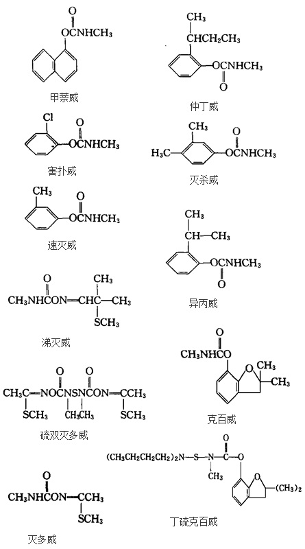 一些已知的氨基甲酸酯類殺蟲劑的化學(xué)結(jié)構(gòu)式