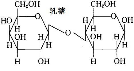 乳糖化學(xué)結(jié)構(gòu)式