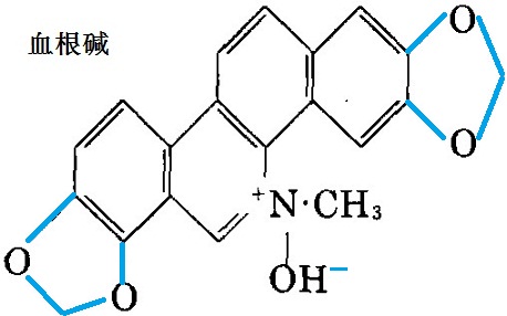 血根堿化學結(jié)構(gòu)式