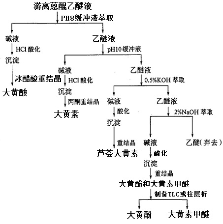 從游離蒽醌乙醚液中提取分離大黃素甲醚工藝流程