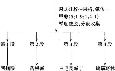 從夏天無里提取分離藥根堿的工藝流程圖