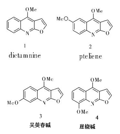 天然來源的白鮮堿類似物