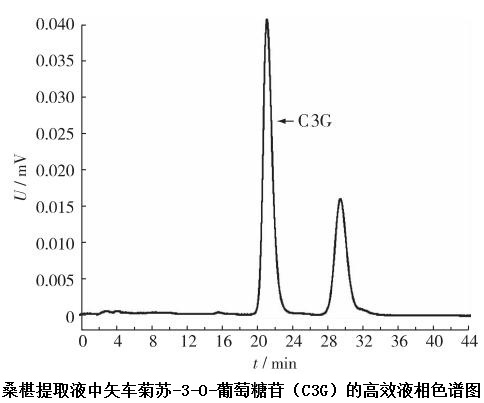 桑椹提取液中矢車菊素-3-O-葡萄糖苷（C3G）的高效液相色譜圖