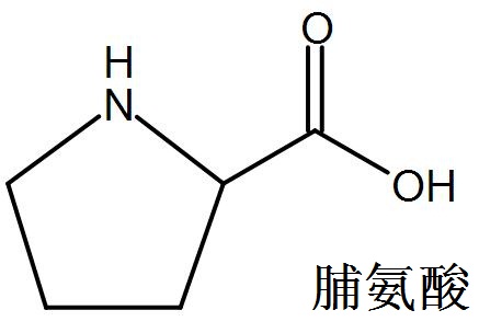 脯氨酸 結(jié)構(gòu)式