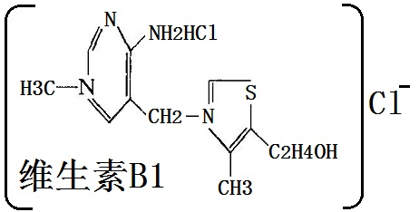 維生素 B1結(jié)構(gòu)式